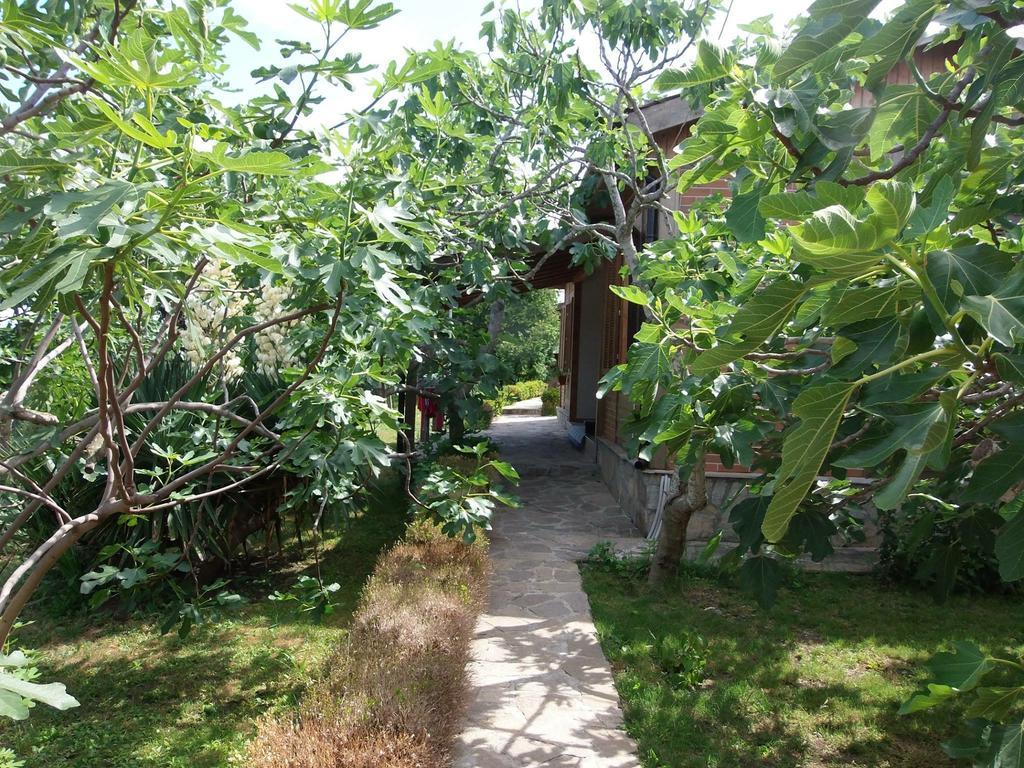 Villas And Bungalows Panorama เชอร์โนโมเรทส์ ภายนอก รูปภาพ